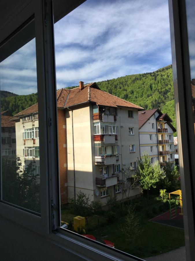 Patricia Apartment Sinaia Exterior foto